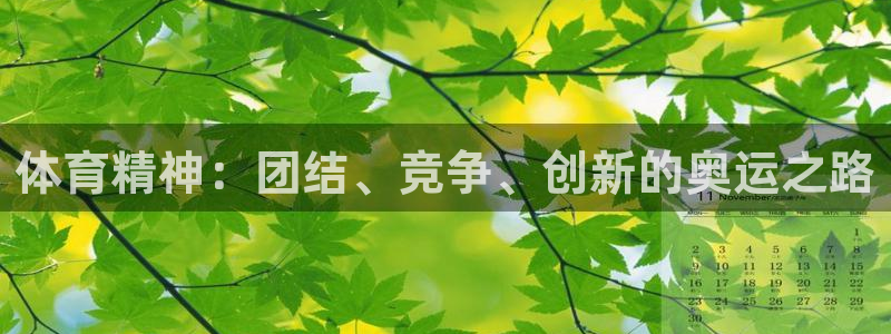 体育精神：团结、竞争、创新的奥运之路