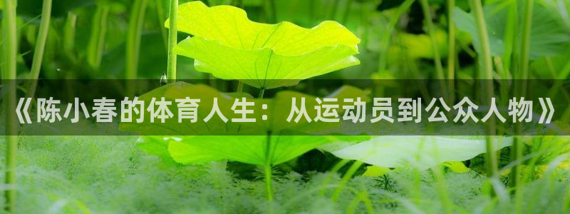 《陈小春的体育人生：从运动员到公众人物》