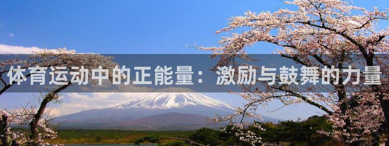 体育运动中的正能量：激励与鼓舞的力量