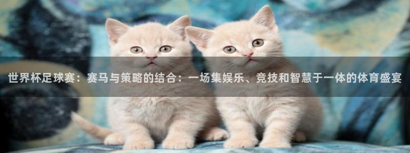 世界杯足球赛：赛马与策略的结合：一场集娱乐、竞技和智慧于一体的体育盛宴